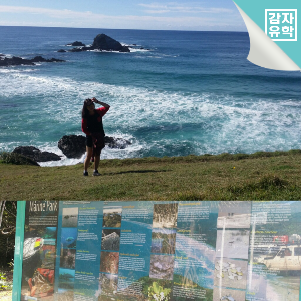 ȣֿ ҹ л ҽ ϼ̽ϴ.