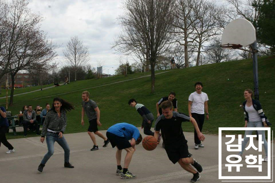 ĳٿ ä л ݰ ҽ ϼ̽ϴ.