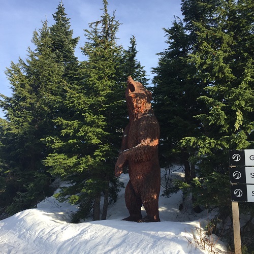 7. ׶ ƾ (Grouse mountain)