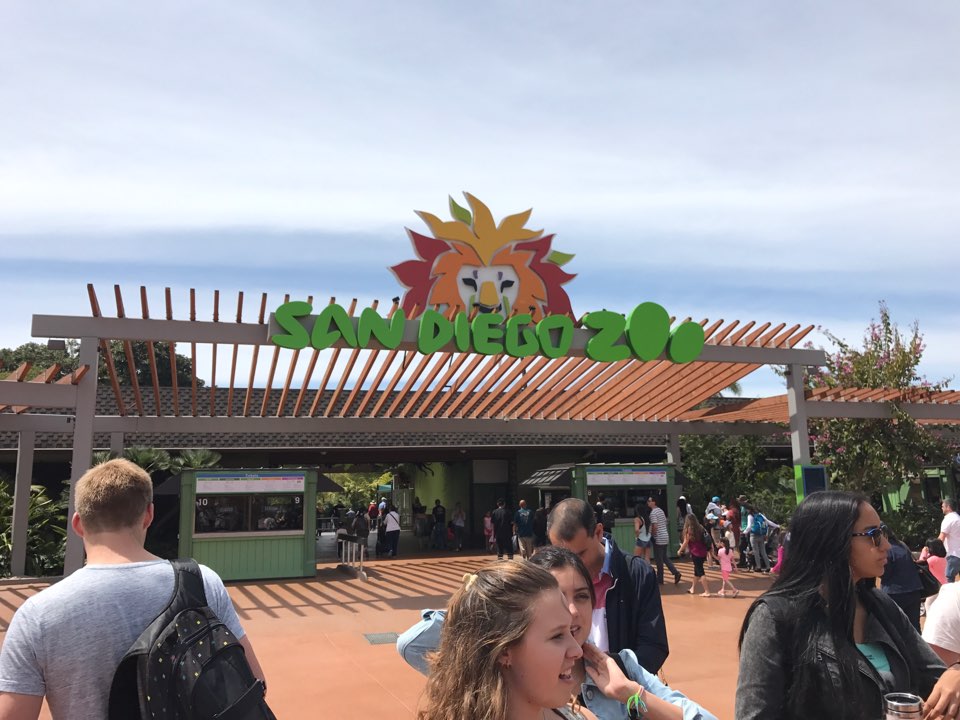[̱][San Diego] п ƼƼ - San Diego Zoo