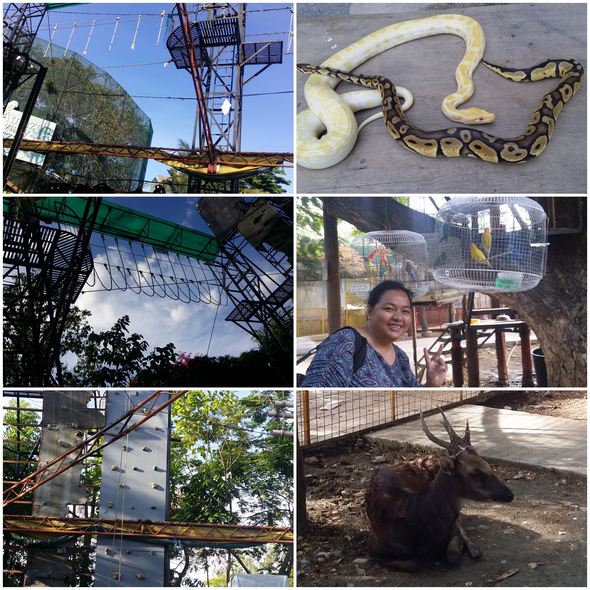 PIPHILIPPINES CGп 3 