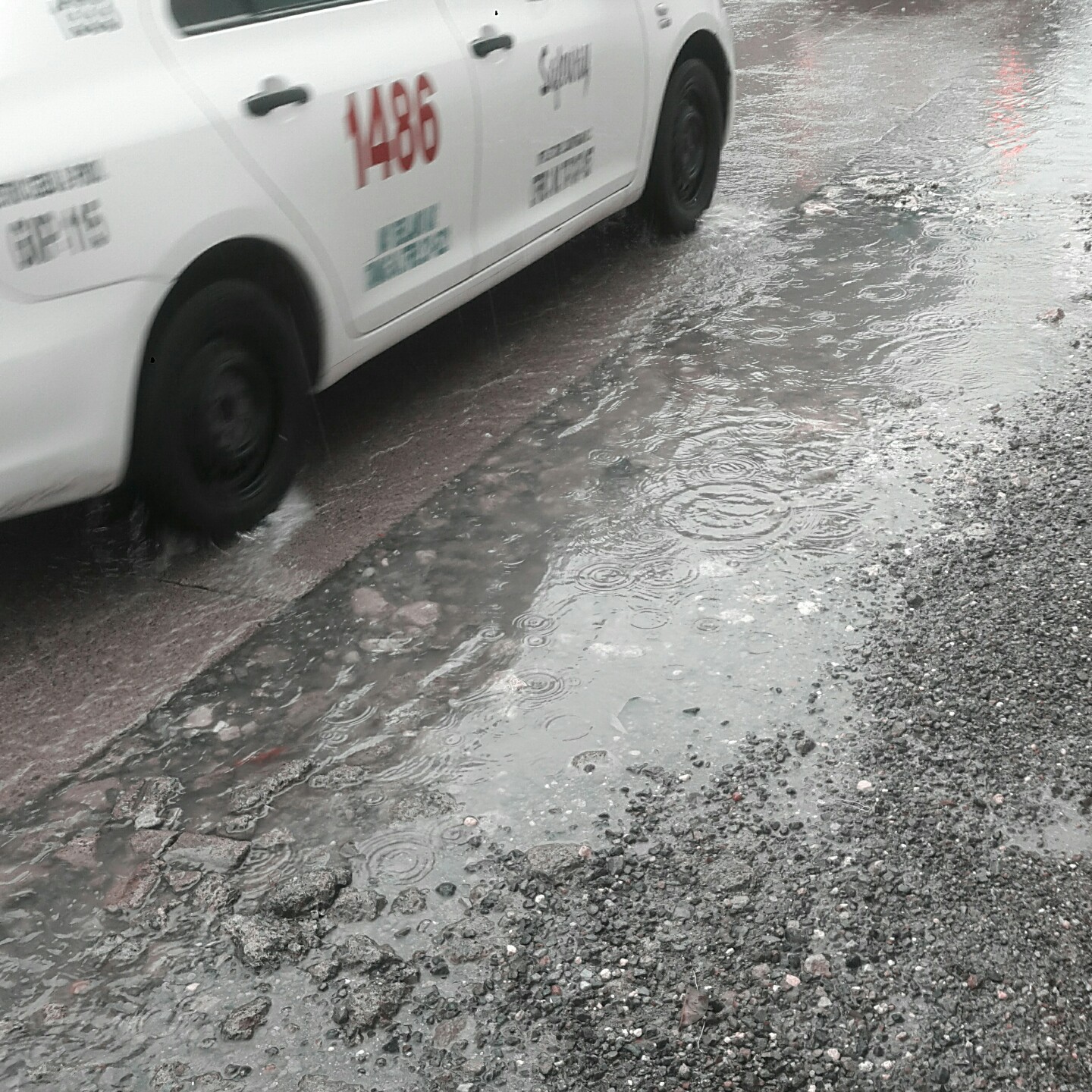 ʸ CELLA п ı -  , ߱̿  