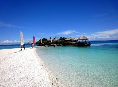 BOC п ָ ƼƼ+  tips +Ȱ tips!!