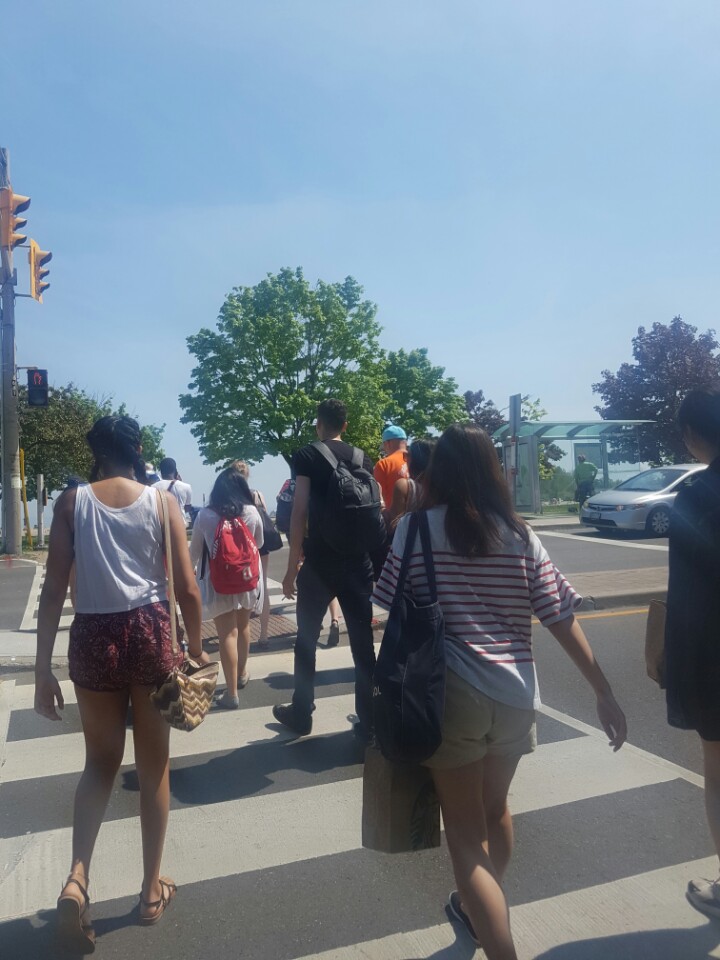 _ Woodbine each Lakeshore 