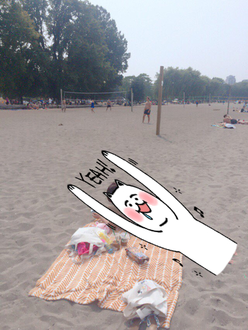   ؾϴ  - kitsilano beach 湮ϱ