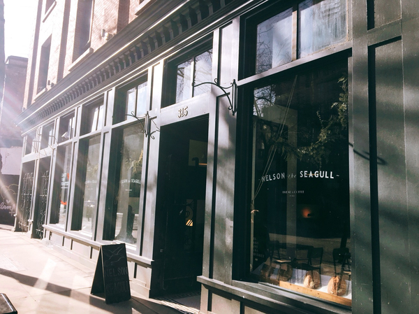   ˾ư - Nelson the Seagull