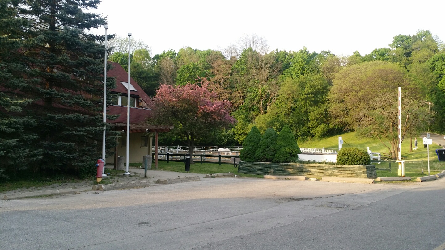  ι° ̾߱! - sunny brook park