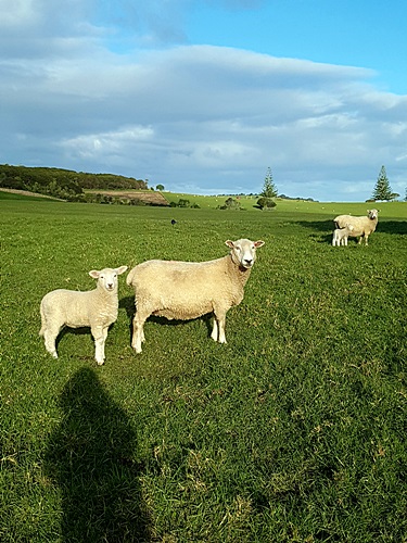 25. (Ŭ ̶  湮ؾ) One day trip- 8 2!