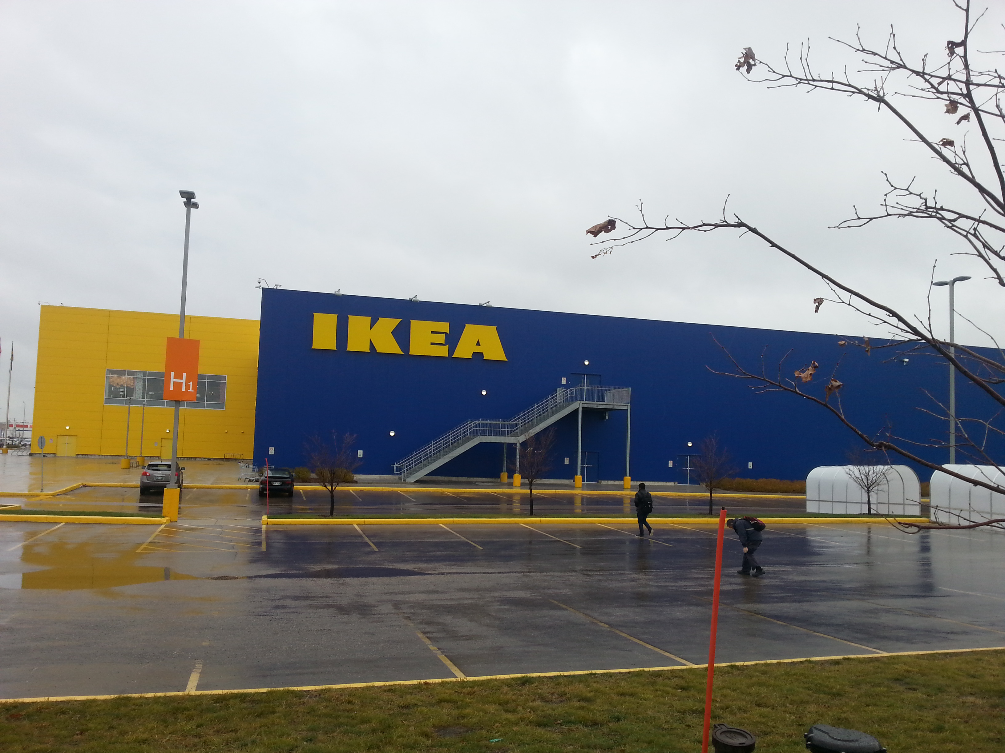 Raina�� ĳ���� ��Ȱ 3�� - ������ ����