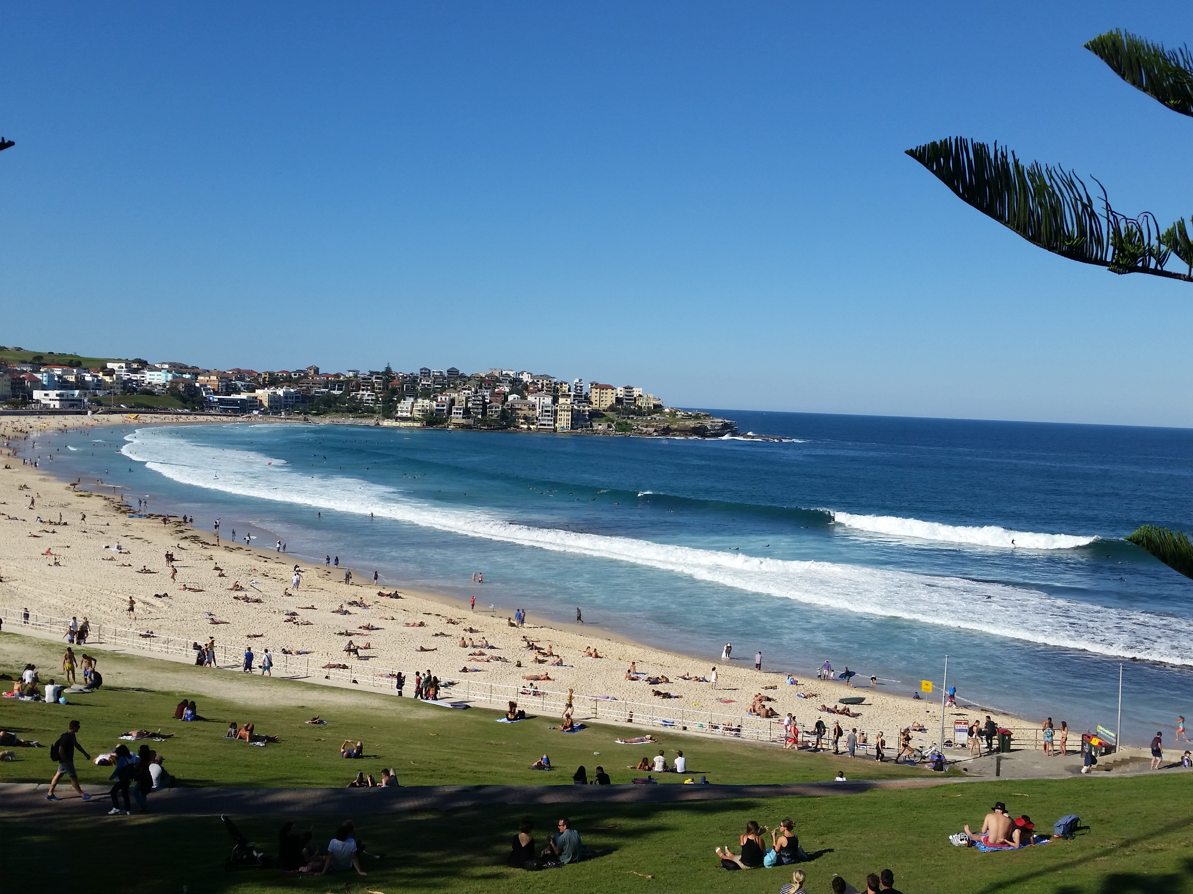 PART. 12 SYDNEY BEACHES