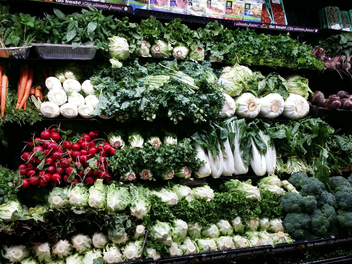 New York ı 19.̱Ʈ vs θƮ-1