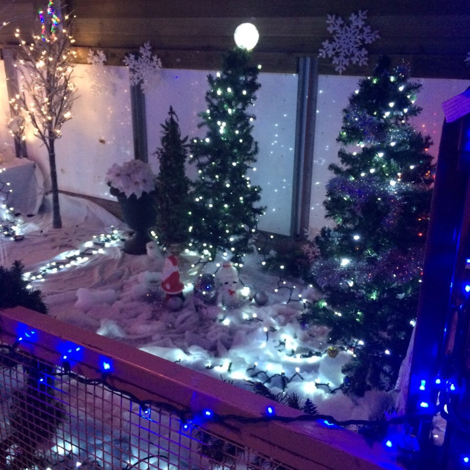 Vancouver -15. Bright Nights Christmas 