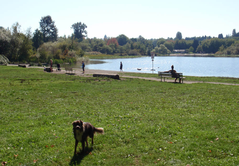 [ĳ][ILSC] 13. ̸ ó John Hendry Park & Community Center