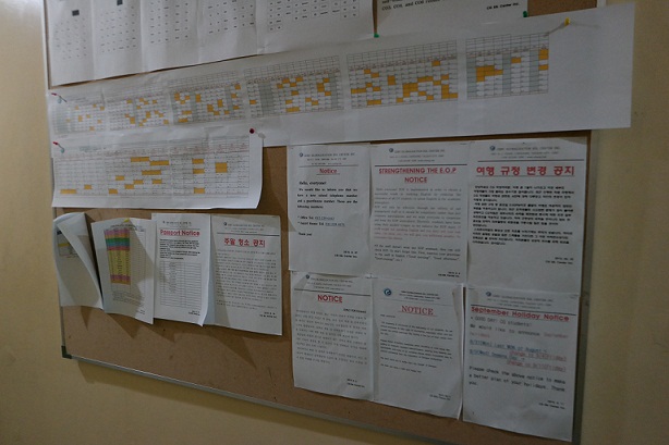 Roy ʸ п 14ź (CG  )