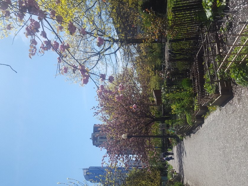 [Vancouver-Vanwest-22]   . ( Bulats - Speaking)