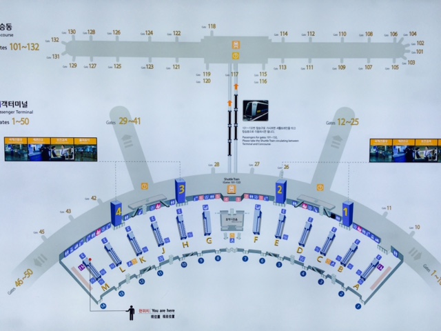 B.O.C п ı 1    ⱹ,.