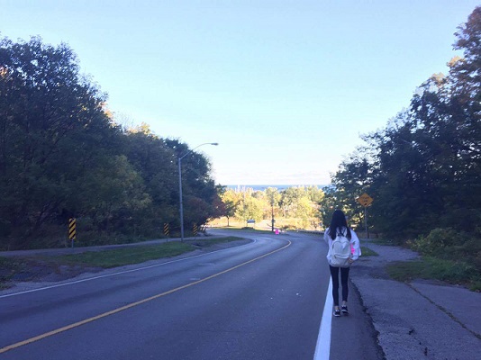 []-Scarborough Bluffs Park