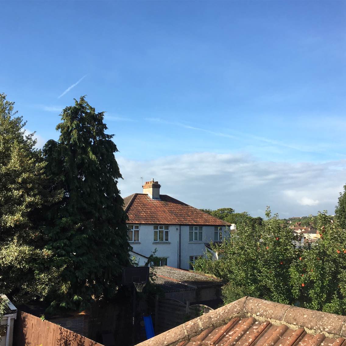 [긮] Ȩ  Ұ / б    ƼƼ