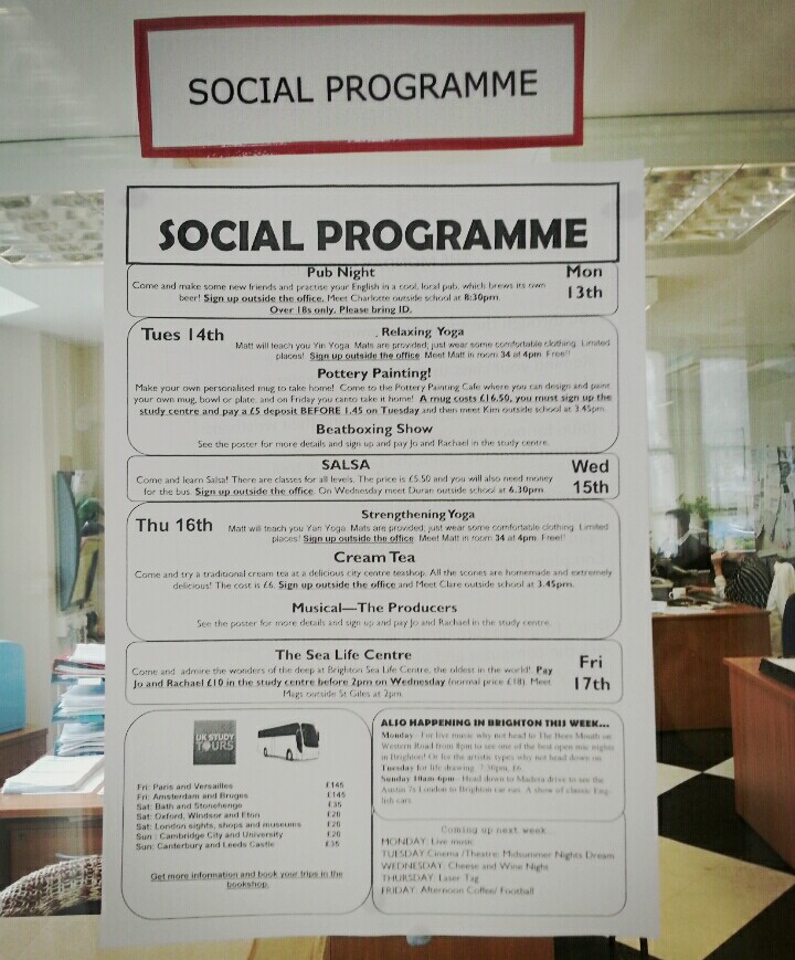 Ҽα׷(Social Program)