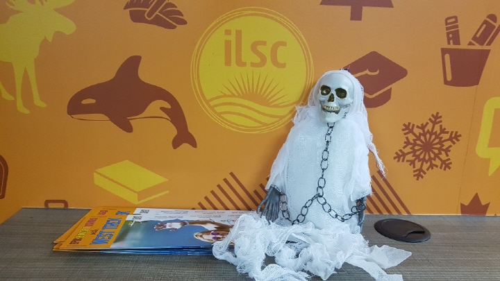 [Sarah's Canada Life]  ִԸ п ILSC