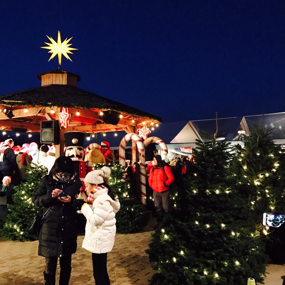 #19. Chistmas market