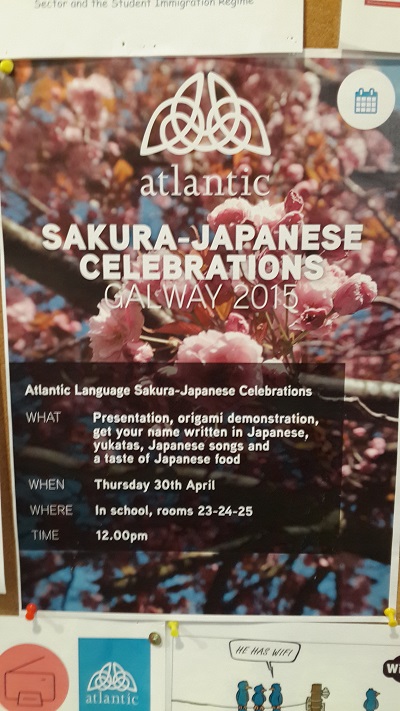 22. SAKURA-JAPANESE CELEBRATIONS