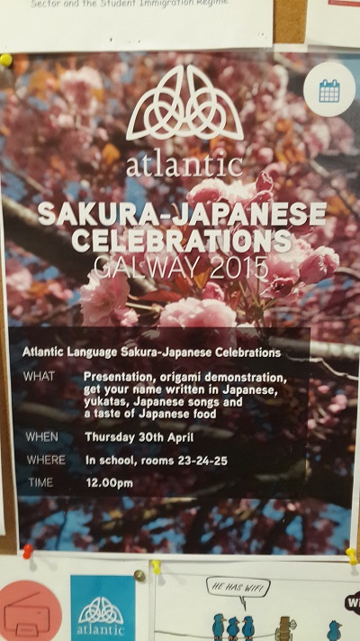 22. SAKURA-JAPANESE CELEBRATIONS