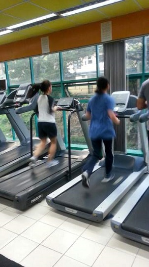 PINES_(Baguio) п ı