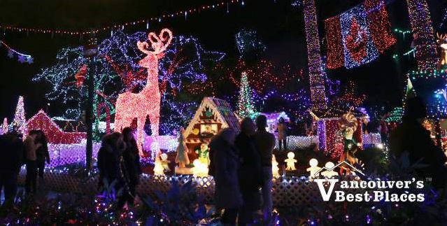   ؾϴ  - Bright Night at Stanley park
