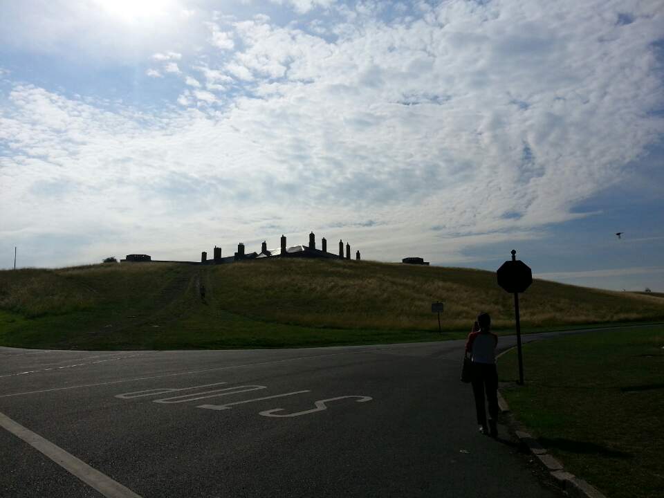 Ϸ ı -Ǵнũ ׸ 罿