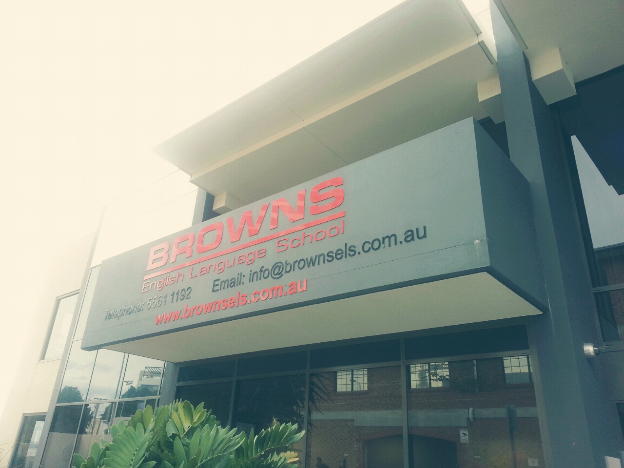 ȣ ڽƮ BROWNS part3