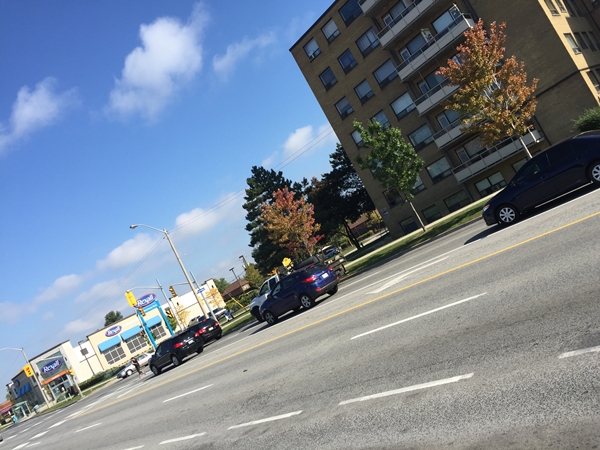 ڳ ߿ Hello Toronto!! part3   ö