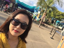 Activity - SeaWorld