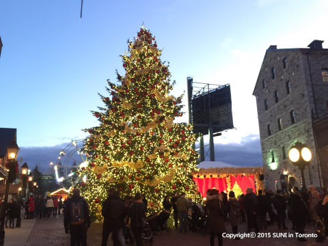 14.  ũ  Distillery District
