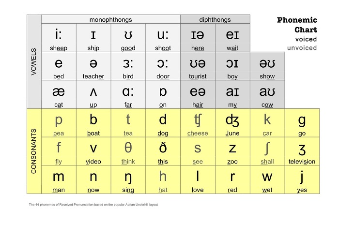 Story.16 Tuesday Activity