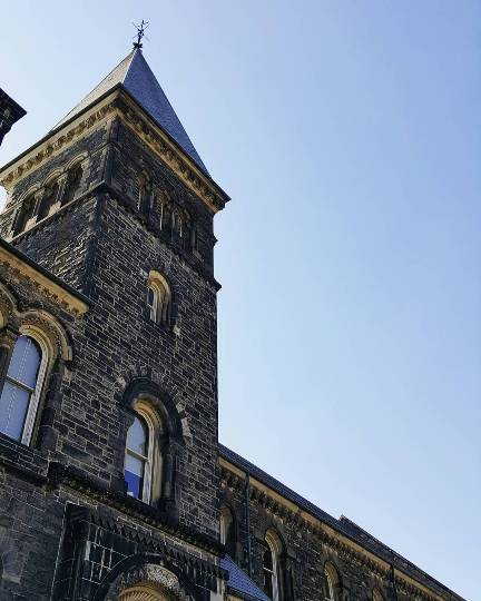  language exchange Ұ