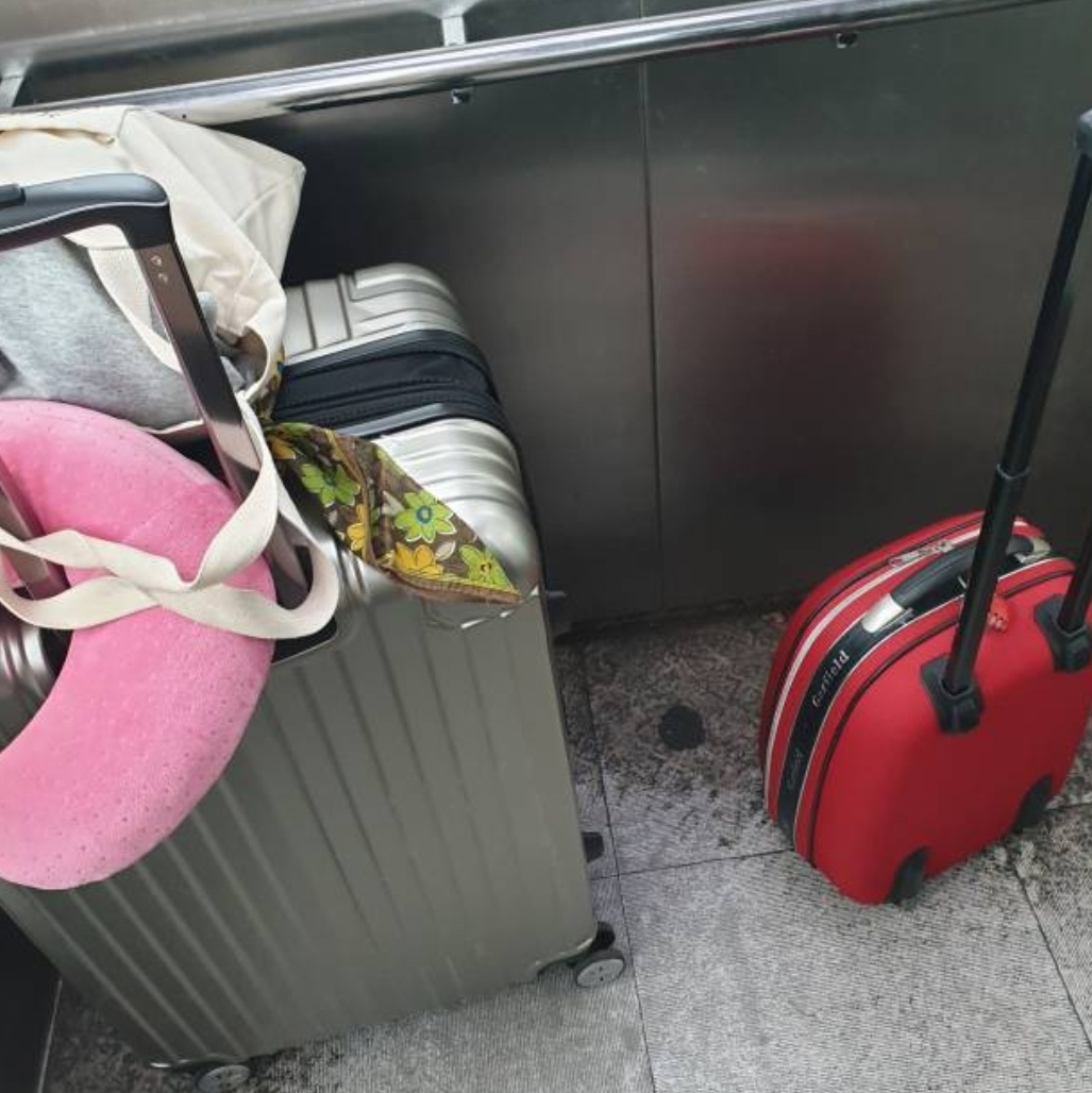 [ĳ/]  ı 1 (ⱹ  ̵)