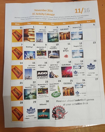 []ECп- ACTIVITY & TOUR