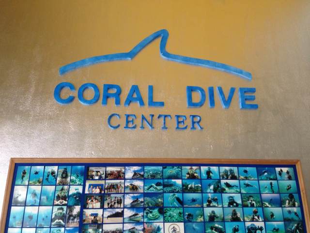 �ָ� ���̺�ü��!