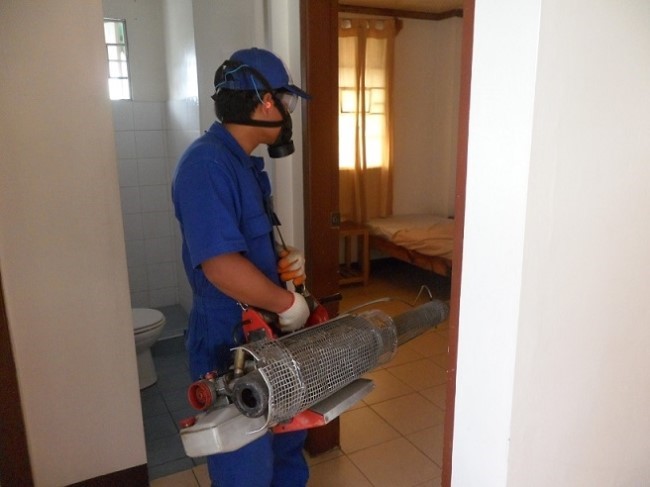 Noah  ʸ ٱ JIC Center2 4 пı 