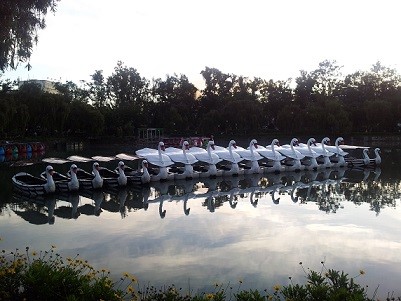 Noah ʸ ٱ JIC center2 14 п ı