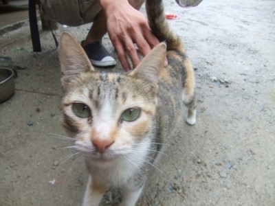 Karl ʸ ٱ JIC Center2 18 пı 