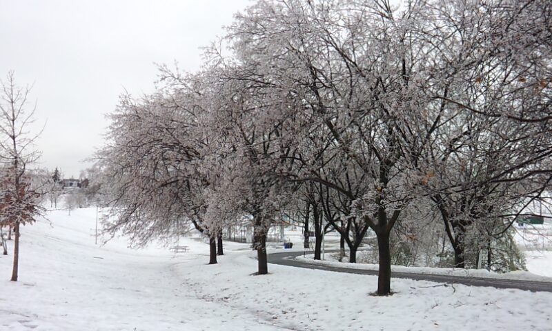 winter of Toronto!!