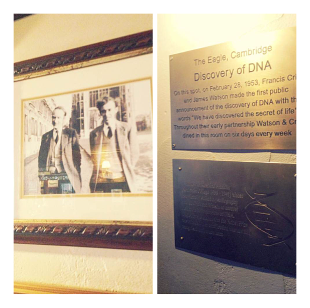 ķ긮 eagle house - DNA