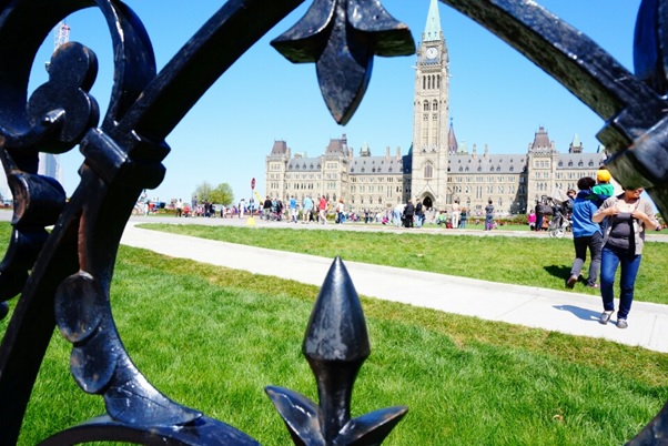 ILAC activity - ġ ĳ