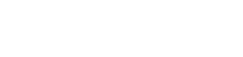 Q&A