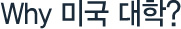 Why 미국대학?